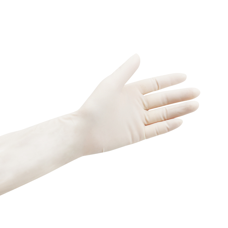 powder free gloves latex