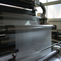 Feuilles de film PET mat double face pour sérigraphie, déchirure à chaud et transfert de chaleur, format papier A4 pour vêtements