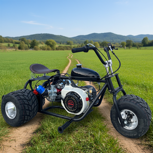 Mini Moto da Corsa Personalizzata <span class=keywords><strong>2026</strong></span>, 212cc 8.5HP 4 Tempi a Benzina, Trasmissione a Catena, <span class=keywords><strong>Go</strong></span>-<span class=keywords><strong>Kart</strong></span> Fuoristrada per Adulti - Product Image 4