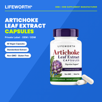 Kapsul Daun Artichoke LIFEWORTH 600mg Ekstrak Terstandardisasi untuk Mendukung Kesehatan Pencernaan