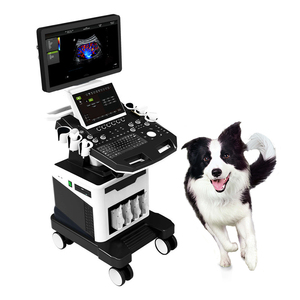 IN-T8VET Dierenarts Draagbare Veterinaire Kleur Doppler Ultrasone Diagnostische Systeem Met Micro-Convexe <span class=keywords><strong>Transducer</strong></span> - Product Image 6