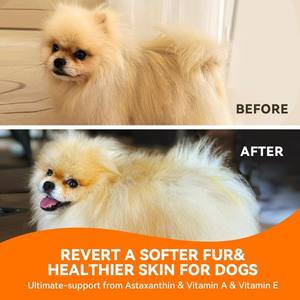 Витамины и добавки для животных под собственной торговой маркой: Ежедневное питание для здоровья кожи и шерсти собак с рыбьим жиром и Омега-3 - Product Image 3