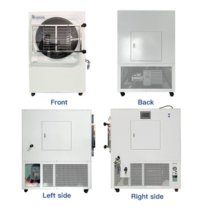 Lyophilisateur à gros volume 60KG 70KG Lyophilisateur domestique et commercial pour viande, fruits, légumes - Product Image 5
