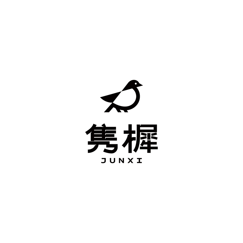 Beijing Junxi Medical Technology Co., Ltd. logo