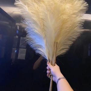 Hesper - Oferta Especial: Arreglo Artificial de Hierba de <span class=keywords><strong>Pampas</strong></span> Realista en Dos Partes con Tallos Desmontables, Decoración Moderna para el Día de la Madre - Product Image 3