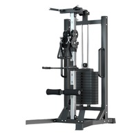 Máquina de Poleas de Acero de Brazo Único, Estación de Poleas Lat Pulldown, Plataforma Multifuncional para Dominadas, Equipo de Fitness Multifuncional para el Hogar 70kg/100kg