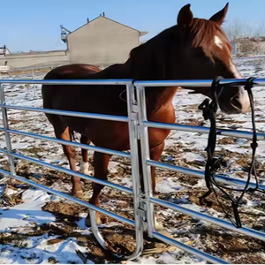 高品質オーストラリアスタイル亜鉛メッキ囲いパネルスクエアチューブホットディップフレーム牛牛羊フェンス馬ヤード - Product Image 3