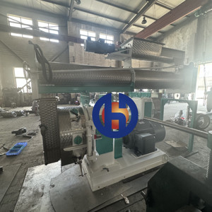 Nueva Máquina Multifuncional para Hacer Pellets con Matriz de Anillos, Capacidad de Origen Jiangsu, Alto Rendimiento para Gallinas Ponedoras y Piscifactorías - Product Image 6