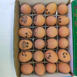 Jouet de balle d'oeuf rebondissante de visage émotionnel 60 grammes Simulation en caoutchouc jouet de style sportif intéressant pour animaux de compagnie - Product Image 5