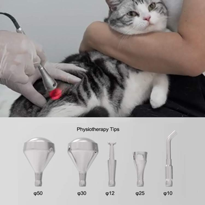 Portable YUWEI VT101 Veterinary Pet <strong>Surgery</strong> 980nm Diode Laser Machine 15W/30W CE Certified Biquartz Optical Fiber <strong>Instrument</strong> - Product Image 3