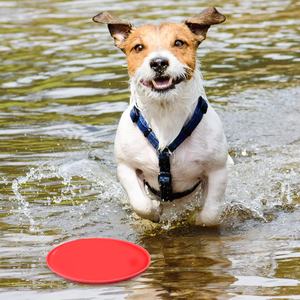 Jouet d'entraînement pour animaux de compagnie, durable, résistant aux morsures, en caoutchouc souple, pour sports de plein air, jouets interactifs pour chiens, disques volants pour chiens, frisbees pour chiens - Product Image 5
