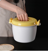 3800ML micro-ondes PP en plastique cuiseur à riz vapeur bol marmite outil de fabrication de riz