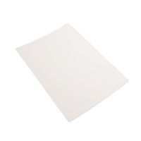 Plaque en PRV TOGLOSS robuste insonorisée pour camping-car, en plastique renforcé de fibre de verre, étanche, pour revêtement mural et de plafond intérieur de VR