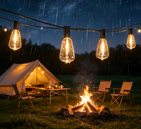 Guirlandes solaires d'extérieur 7,6m-30m ST38 avec ampoules LED Edison, étanches, pour patio, bistrot, lampe féerique avec charge USB-C
