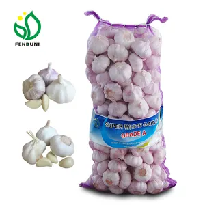 Shandong New Crop Fresh Garlic 10kg box for Senegal/Cote D Ivoir /Guinea/ Mali 50mm , Ship by sea, with cheap price