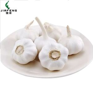 大蒜供应商在中国高档工厂以低廉的批发价100% 有机新鲜大蒜 - Product Image 2