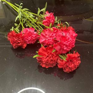 Soportes <span class=keywords><strong>de</strong></span> decoración <span class=keywords><strong>de</strong></span> flores <span class=keywords><strong>de</strong></span> boda artificiales realistas hechos a mano <span class=keywords><strong>de</strong></span> 70CM Scabiosa Atropurpurea Pine Worm Grassflowers decoración <span class=keywords><strong>de</strong></span> boda - Product Image 3