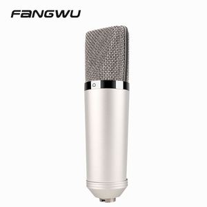 Professional Big Condenser Studio Recording Mic Microphone - Product Image 3