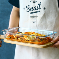 Naduaeofa — plateau de cuisson en verre borosilicate, résistant à la chaleur, plaque rectangulaire, ménage