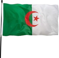 Drapeau de voiture à suspendre imprimé numériquement 100 % polyester, motif Algérie, avec grand mât de drapeau – Vente en gros