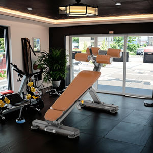 Machines articulées avec plateau de charge, 45 extensions, exercice du dos, banc abdominal - Product Image 5