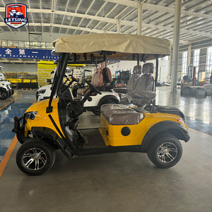 Véhicule <span class=keywords><strong>de</strong></span> <span class=keywords><strong>golf</strong></span> miniature 2 places en promotion avec sièges réglables pour villas <span class=keywords><strong>de</strong></span> vacances et buggy <span class=keywords><strong>de</strong></span> loisirs - Product Image 3