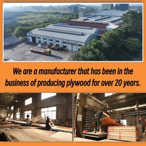 Papan kayu lapis kayu putih 1220x2440mm atau ukuran kustom 9mm 12mm 15mm 18mm papan kayu lapis lapis lapis lapis lapis komersial - Product Image 3