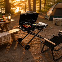 Barbecue d'extérieur portable, barbecue au gaz commercial, barbecue de camping, barbecue au gaz