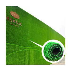 Tapis mural d'<span class=keywords><strong>extérieur</strong></span> bon marché Tapis de gazon artificiel <span class=keywords><strong>synthétique</strong></span> pour jardin paysager - Product Image 3