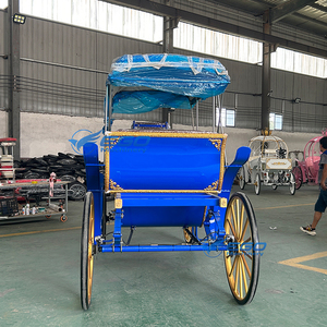 Carruaje Turístico Victoria a Precio de Fábrica, Transporte Especial para Bodas, Carruajes Eléctricos en Venta - Product Image 3