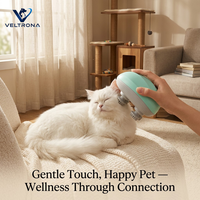 Masseur intelligent pour animaux de compagnie, masseur électrique pour chien et chat, rechargeable, multifonction, pétrissage, vibration, relaxation, outil de toilettage portable