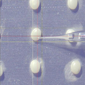 Dụng cụ tiêm vi mô tùy chỉnh tự động thực hiện định vị, nhận dạng và tiêm côn trùng - Product Image 2