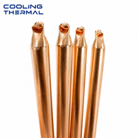 Pipa Panas Tembaga Sintered 10x250mm Efisiensi Tinggi untuk Sistem Pendingin CPU GPU dan Manajemen Termal Industri