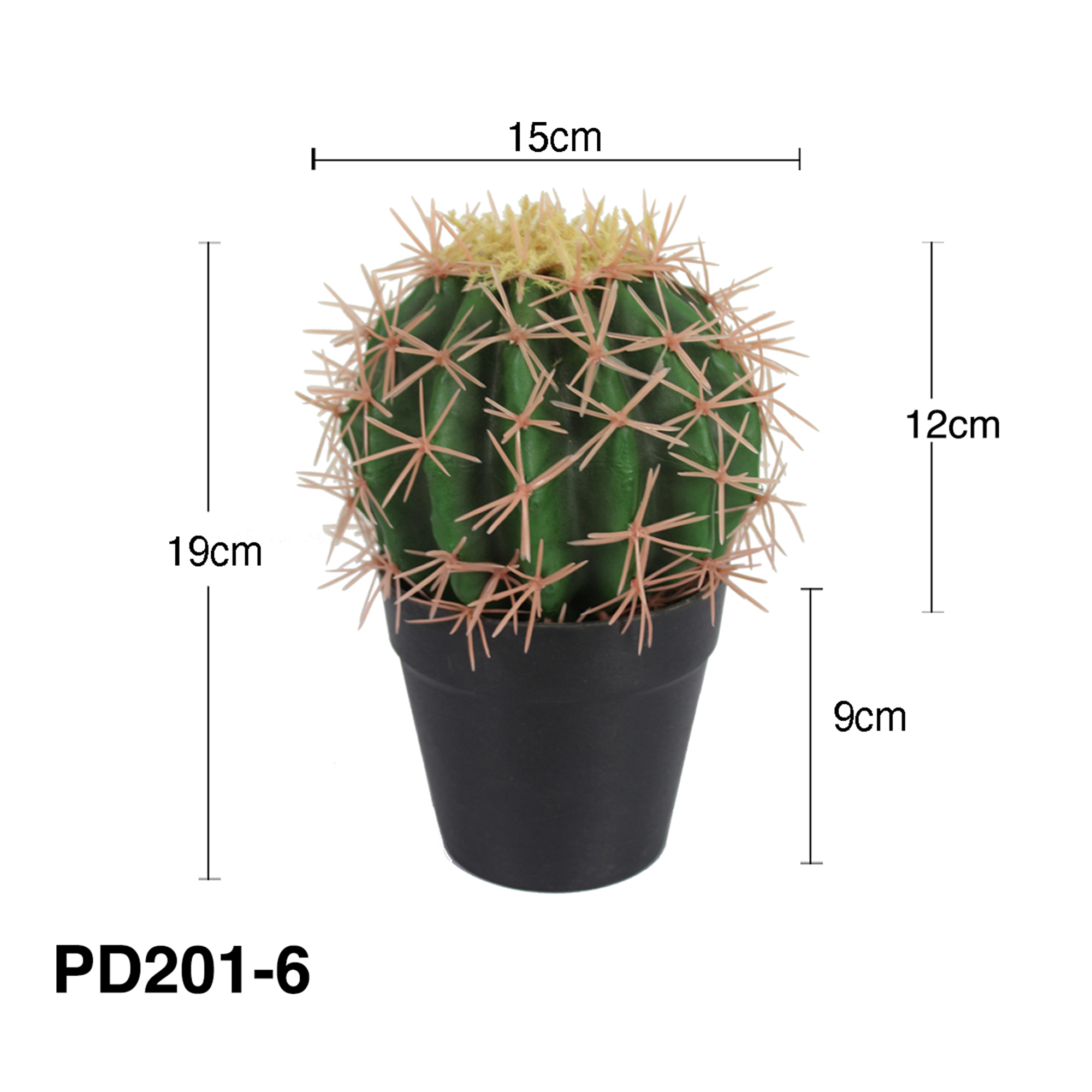 Red horned cactus-15cm
