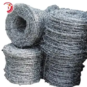 Pvc/Pe Coated Electro Galvanized Concertina Wire For Sale