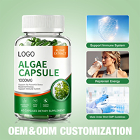 Capsules d'algues en mélange végétal en gros 1000MG – Complément nutritif essentiel pour soutenir l'énergie quotidienne et le système immunitaire