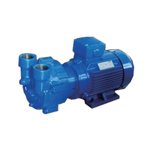 Bomba de Vacío DVP 3301018 para Tratamiento de Agua Industrial, Acero Dúplex 2205, Fabricada en Italia - Product Image 2