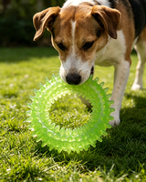 Juguetes para Masticar para Perros - Material TPR, Estilo Popular, Entrenamiento e Interacción, Uso en Interiores/Exteriores