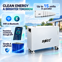 Solarbatterie 20kWh 16kWh LiFePO4 51,2V IP65 Freistehender Heimenergiespeicher für Solarsysteme Hybrid-Netz mit Smart BMS WiFi