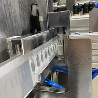 Machine à ampoules BFS Remplissage et scellement aseptiques salins normaux Équipement BFS