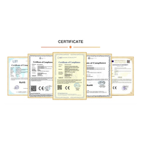 Module 18V 500F, Supercondensateur 500 Farad, Démarreur d'urgence, Stockage d'énergie, Banque de supercondensateurs, Alimentation de secours 16V 500F