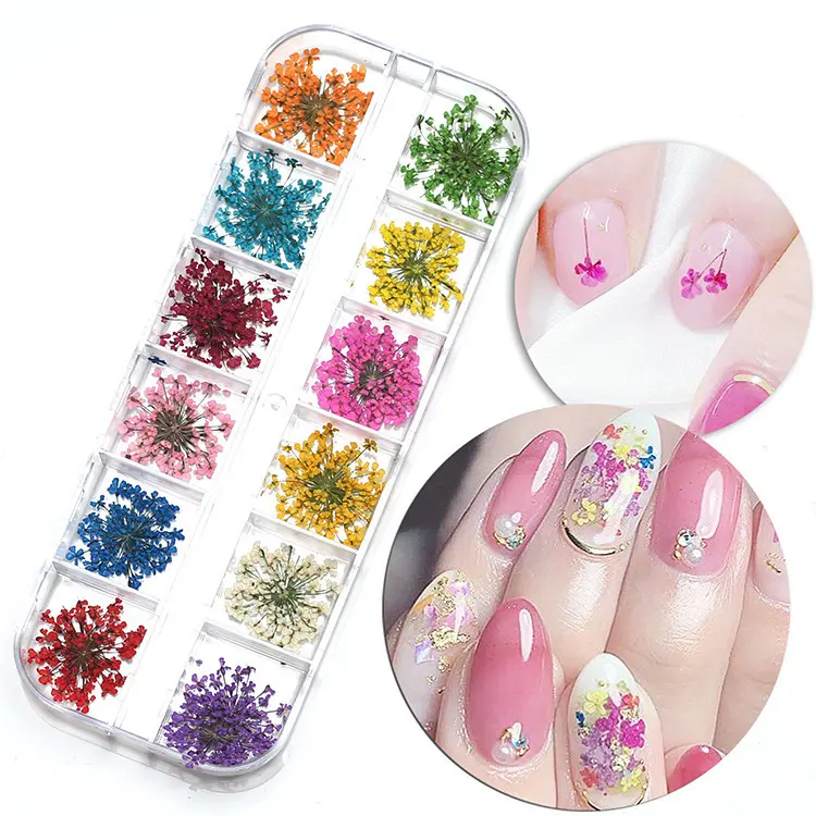 Manicure accessories 12 boxes manicure dried flower handmade DIY nail Patch dried flower hydrangea snow pearl flower decorations