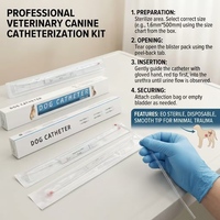 Cathéter urinaire stérile jetable pour chien, prix d'usine, tube de drainage urinaire vétérinaire