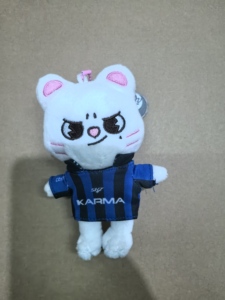 Nuevo Llavero Colgante de Peluche Suave de 12cm para Monedas, Stay Kids Fang Can Li Long Fu Felix <span class=keywords><strong>KARMA</strong></span> SKZ, Muñeco de Peluche Kpop de Dibujos Animados - Product Image 6