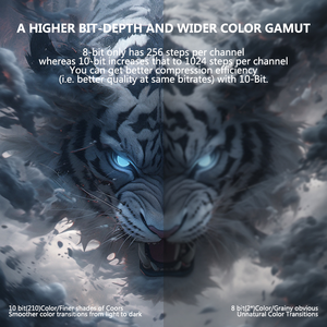 Reproductor Multimedia Inteligente D9S ATV Amlogic S905, Precio <span class=keywords><strong>de</strong></span> Fábrica Real, Cuatro Núcleos, 2 GB, 8 GB, 2.4G/5G, BT4.1, Android 11.1, 4K, Smart TV Box Android - Product Image 6