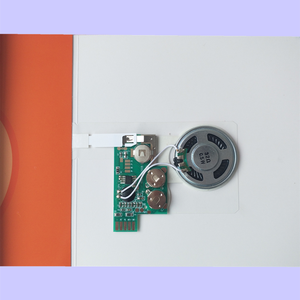 Chất Lượng Âm Thanh Cao Trượt Chuyển Đổi Trống Âm Thanh Mô-đun Ghi Âm Thanh Bằng Máy Tính Hoặc Điện Thoại Cho Tự Làm Âm Nhạc Gấp Thiệp Chúc Mừng - Product Image 6