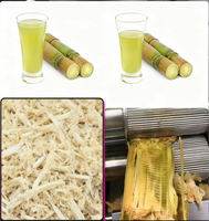 Presse à jus de canne à sucre mobile en acier inoxydable pour la production de boissons, destinée aux agriculteurs de canne à sucre
