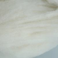 Nouvelle fibre de cachemire peignée brute d'usine, finesse 16-19 microns, longueur 30-38 mm, laine fine lavée pour fil à filer à la peigne