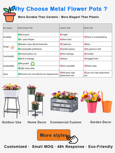 Biểu Tượng Tùy Chỉnh Thân Thiện Với Môi Ban Công Đường Sắt Treo Trồng Có Thể Tháo Rời Móc Cho Cửa Sổ Vườn Móc Treo Trồng Hộp - Product Image 6