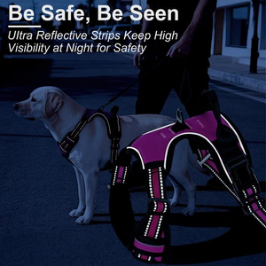 Arnés de chaleco para perro personalizado, cómodo, transpirable, ajustable, reflectante para seguridad nocturna, de malla de aire, nailon sólido, sencillo - Product Image 5
